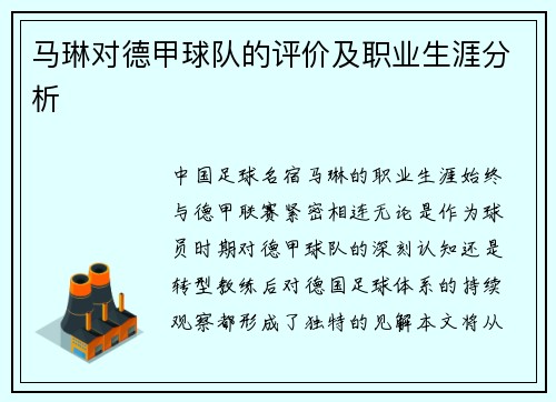 马琳对德甲球队的评价及职业生涯分析